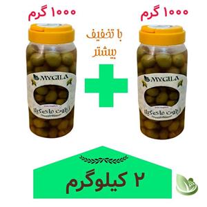 تخمه آفتابگردان مای‌ گیلا