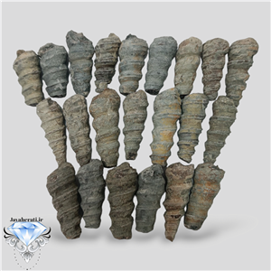 عرج جبلی (کوهی) اصیل ومعدنی سایزبزرگ