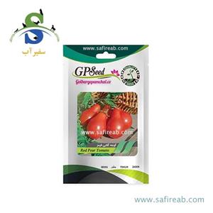 بذر گوجه گلابی قرمز جی پی سید