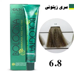 رنگ مو بدون آمونیاک بلونیا سری زیتونی شماره 6.8 Bologna