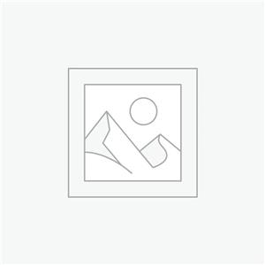 دیسک ترمز چرخ جلو روآ ABS عظام