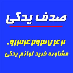 جلو پنجره ۴۰۵ نقره ای