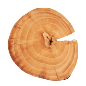 پلیت سرو چوبی برند OAK کد 213 Cedar plate of OAK brand