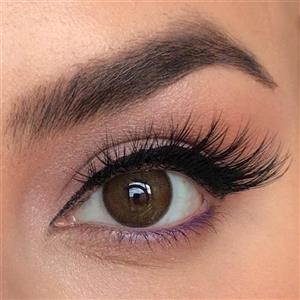 لنز رنگی لابلا پرمیوم لاتین براون LABELLA PREMIUM LATIN BROWN