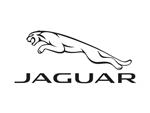 پارکت لمینت جگوار JAGUAR