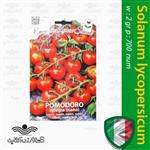 بذر گوجه فرنگی چری درشت نانو ایتالیایی و روش کاشت گوجه