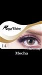 لنز رویال ویژن کد 14 Royal Vision Mocha