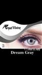 لنز رویال ویژن کد 02 Royal Vision Dream Gray