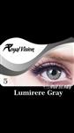 لنز رویال ویژن کد 05 Royal Vision Lumirere Gray