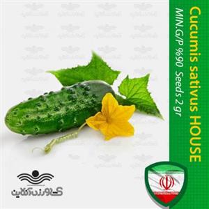 بذر خانگی خیار خاردار