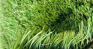 چمن مصنوعی 30 میل عرض 100 (واحد  متر مربع)