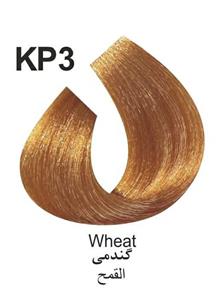 رنگ موی کاترومر KATROMER،شماره KP3  گندومی