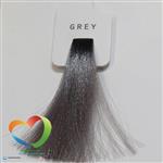 رنگ موی بدون آمونیاک ان وای سی واریاسیون نقره ای NYCE COLOR HD Booster Grey