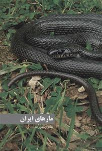 کتاب مارهای ایران اثر مهدی رجبی زاده انتشارات ایرانشناسی