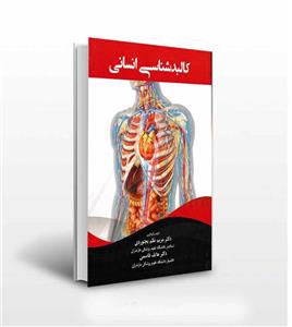 کالبدشناسی انسانی اثر مریم نظم