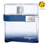 Salvatore Ferragamo F by Ferragamo Free Time Edt 100ml