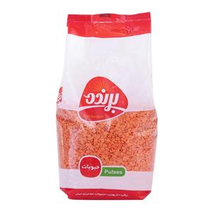 دال عدس 900 گرمی برنده