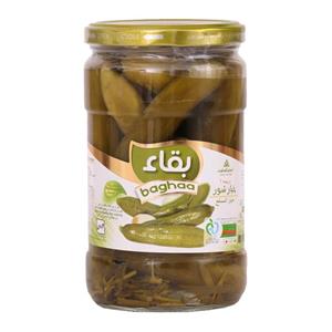 خیارشور درجه یک بقاء - 650 گرم 