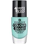 لاک ناخن اسنس کالر بوست Essence Colour Boost High Pigment Nail Paint 06