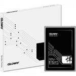 SSD ساتا GLOWAY 240GB