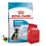غذای خشک توله سگ نژاد بزرگ رویال کنین Royal canin maxi puppy وزن ۱ کیلوگرم ( بسته بندی ملودی مهربانی )
