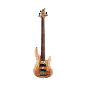 LTD B-205 Spalted Maple | گیتار بیس