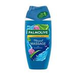 شامپو بدن پالمولیو Palmolive مدل Mineral Massage حجم 250 میلی لیتر 