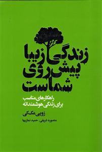 زندگی زیبا پیش روی شماست (راهکارهای مناسب برای زندگی هوشمندانه)