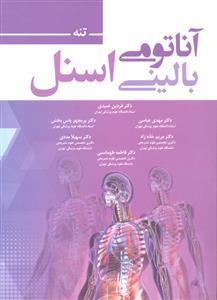 آناتومی بالینی اسنل  تنه