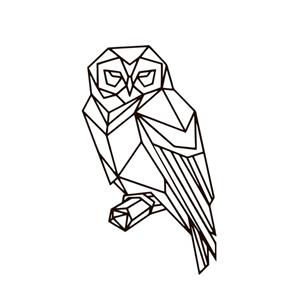 تابلو مینیمال رومادون طرح جغد کد 1844