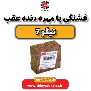 فشنگی یا مهره دنده عقب تیگو 7