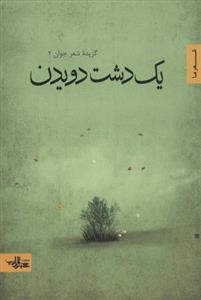 یک دشت دویدن (گزیده شعر جوان ۲)