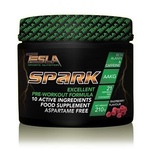 پمپ اسپارک تسلا | TESLA SPARK