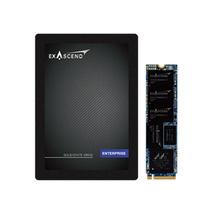 اس دی اگزاسند Exascend ES1TSSDM2NAU M.2 1TB SSD 