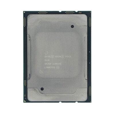 CPU: Intel Xeon Gold 5118