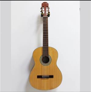گیتار Bestfun E150