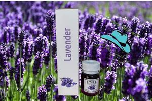 خوشبو کننده ایفل Eyfel لاوندر (اسطخدوس) Lavender 