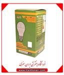 لامپ 12 وات LED پارس شعاع توس عمده کارتن 100 تایی 