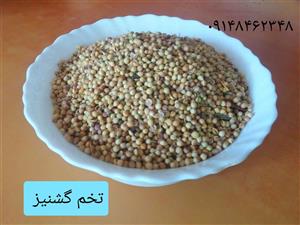 تخم گشنیز ـ ۲۰۰ گرم