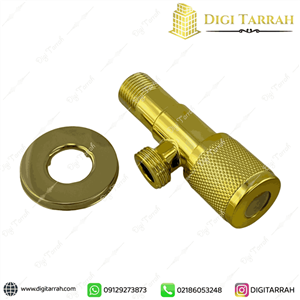 شیر پیسوار طلایی 