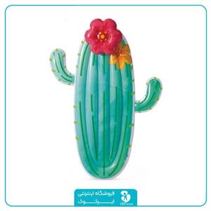 تشک بادی استخری اینتکس مدل کاکتوس 58793