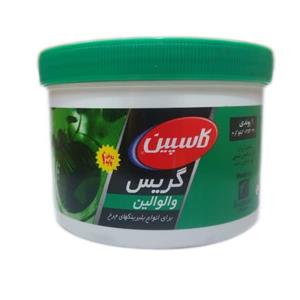 گریس والوالین کاسپین آریان (نمره 4 پایه سدیم) 1 پوندی