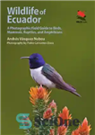 دانلود کتاب Wildlife of Ecuador: a photographic field guide to birds, mammals, reptiles, and amphibians – حیات وحش اکوادور: راهنمای...