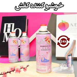 اسپری خوشبو کننده و بوگیر کفش ۲۴ساعته لوکی فاین (LUCKY FINE SHOES SPRAY 260MIL) 