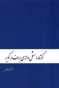 کوتاه مثل دانه ی برف در کویر 