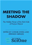 دانلود کتاب Meeting the Shadow – ملاقات با سایه