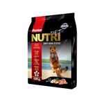 غذای خشک سگ با ٪۲۹ پروتئین، ۱۰ کیلوگرمی، برند نوتری پت