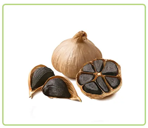 سیر سیاه ممتاز پروبیوتیک