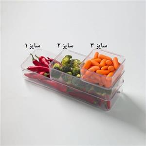 نظم دهنده سایز 3 آریا سام کد 163