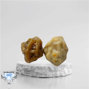 جفت مهره زوعه مار رگه دار اصیل اندونزی